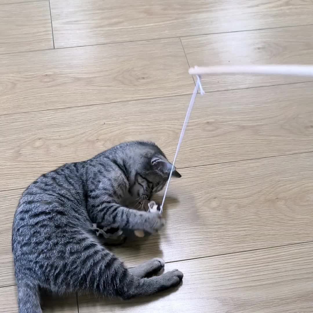 Spielzeug Angel für Katzen